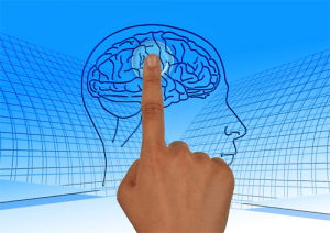 cerveau_activer