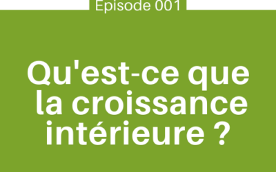 Qu’est-ce que la croissance intérieure | E001