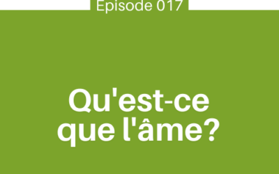 Qu’est-ce que l’âme? D’où vient-elle? Que vient-elle faire ici?… | E017