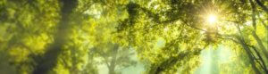 Hypnose_valais_sophrologie_Valais
